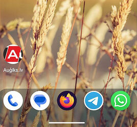 icon_augiks