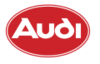 audi_oval
